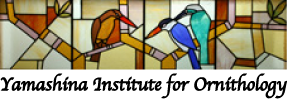 Yamashina Institute for Ornithology logo