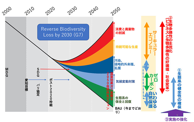 図：生物多様性の損失を減らし回復させる行動の内訳