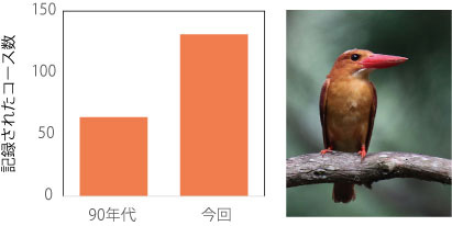 見えてきた日本の鳥の現状 全国鳥類分布調査 全国で調査実施中 読み物コーナー 山階鳥類研究所