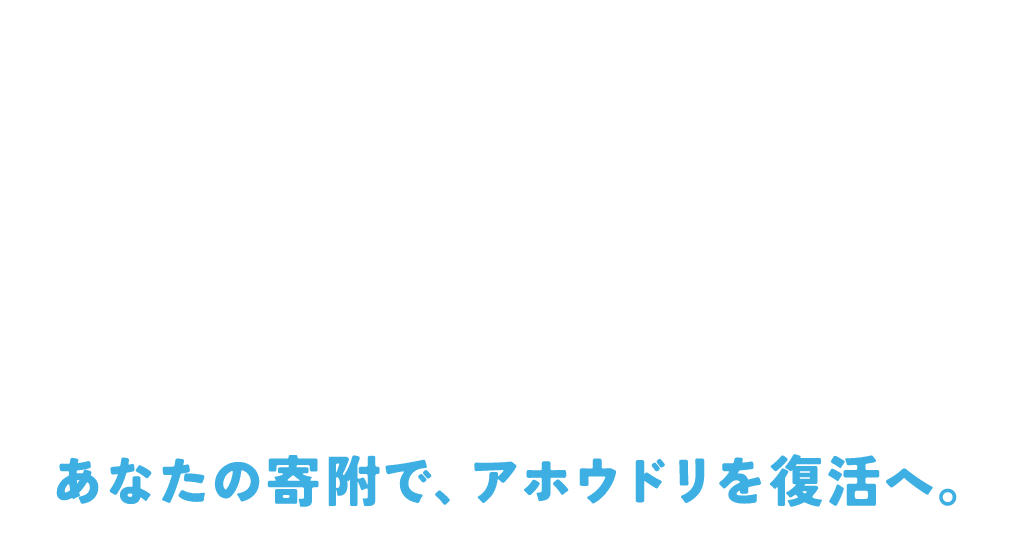 100万羽の景色を、もう一度日本で