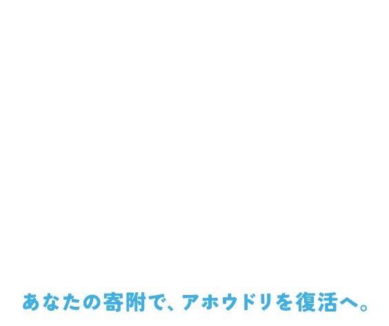 100万羽の景色を、もう一度日本で