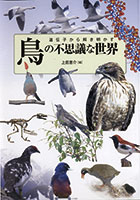 遺伝子から解き明かす鳥の不思議な世界