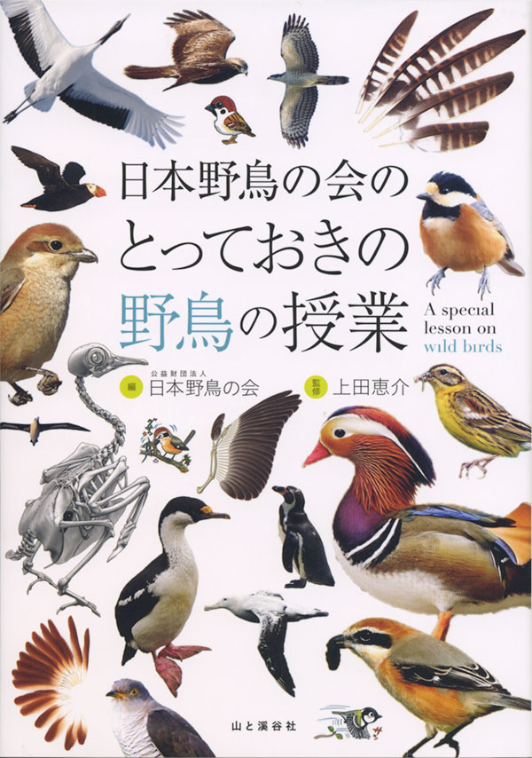 とっておきの野鳥の授業