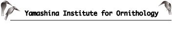 YIO logo