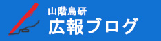 山階鳥研広報ブログへ