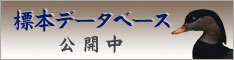 標本データベース