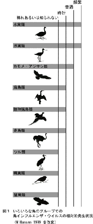 図1 いろいろな鳥のグループでの鳥インフルエンザ・ウィルスの相対的発生状況