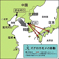 韓国のズグロカモメ　日本で渡来確認