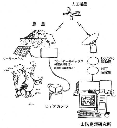 動画転送システム