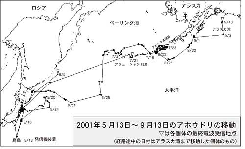 アリューシャン