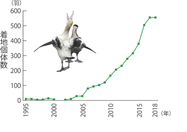 図:アホウドリ着地個体数