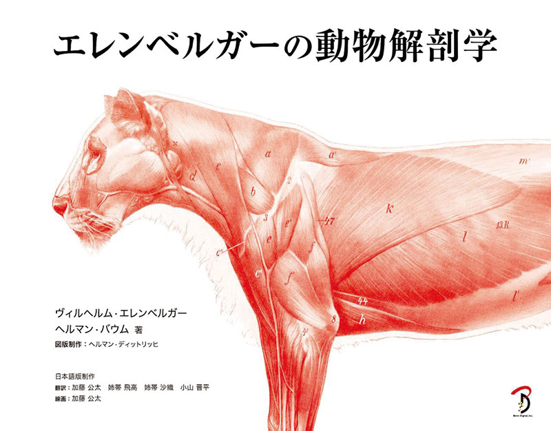 エレンベルガーの動物解剖学