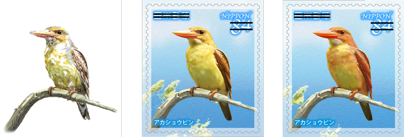 鳥の切手デザインプロセス