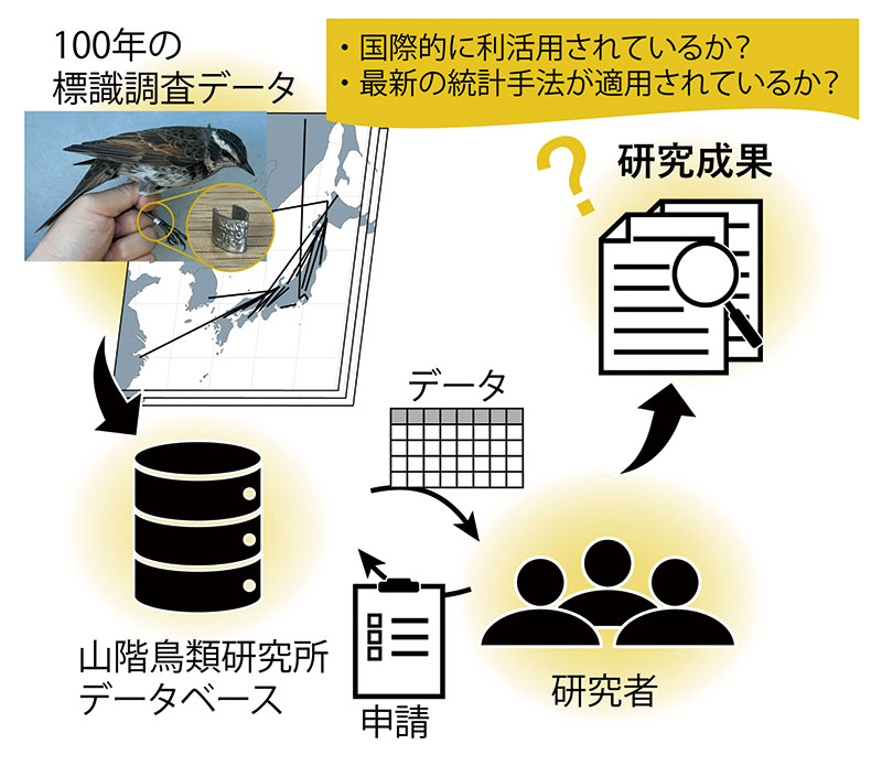 図 標識調査データが研究に利用されるまでのプロセス