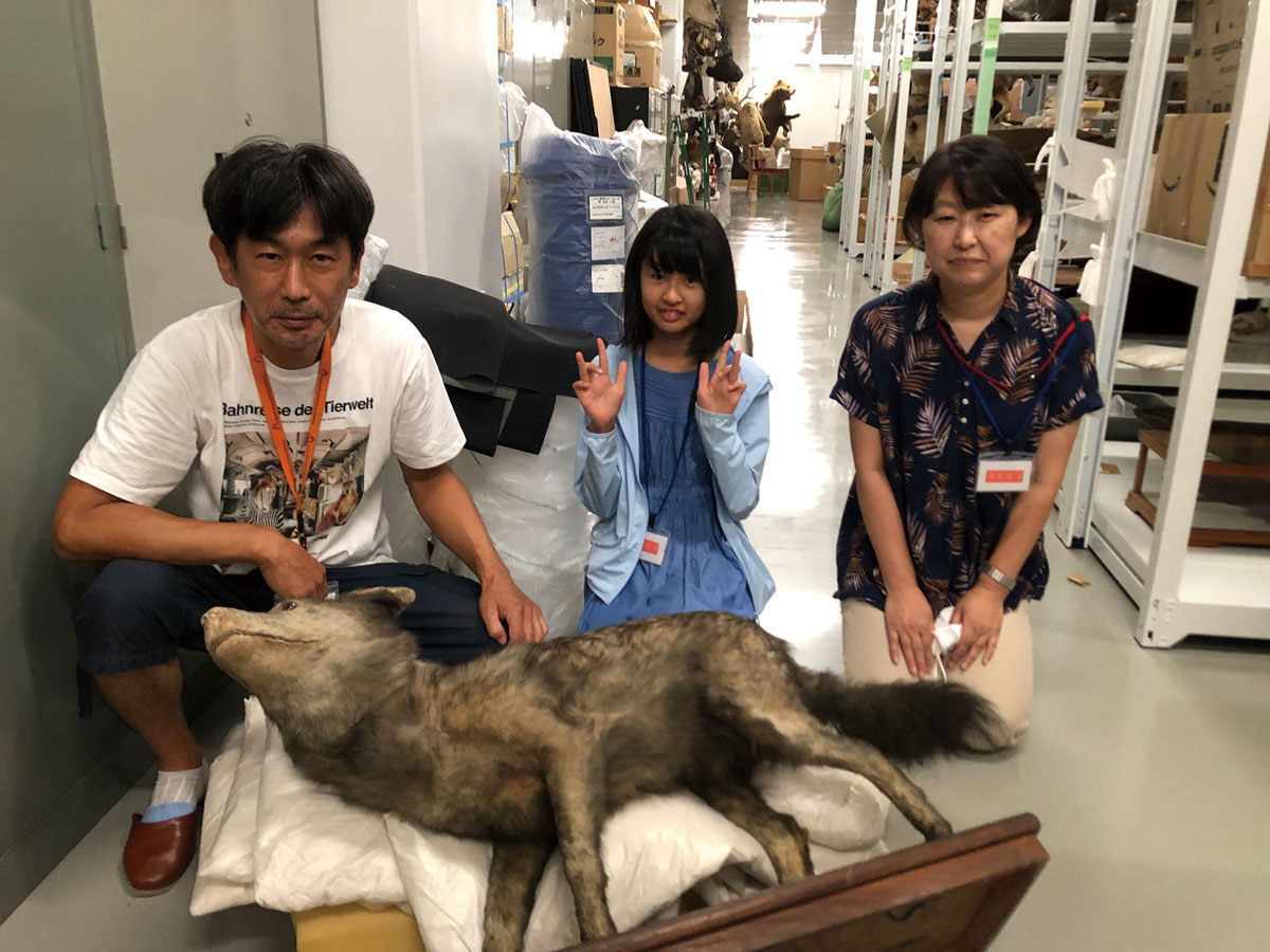 写真：科博収蔵室にて