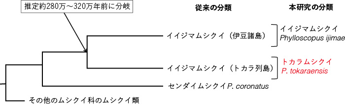 図:伊豆個体群とトカラ個体群との系統関係(ミトコンドリアDNAチトクロムb領域の分子系統樹に基づく)