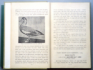 写真：日本鳥学会誌黒田博士論文