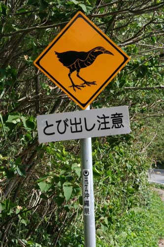 ヤンバルクイナあれこれ